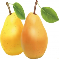Груша