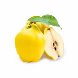 Айва
